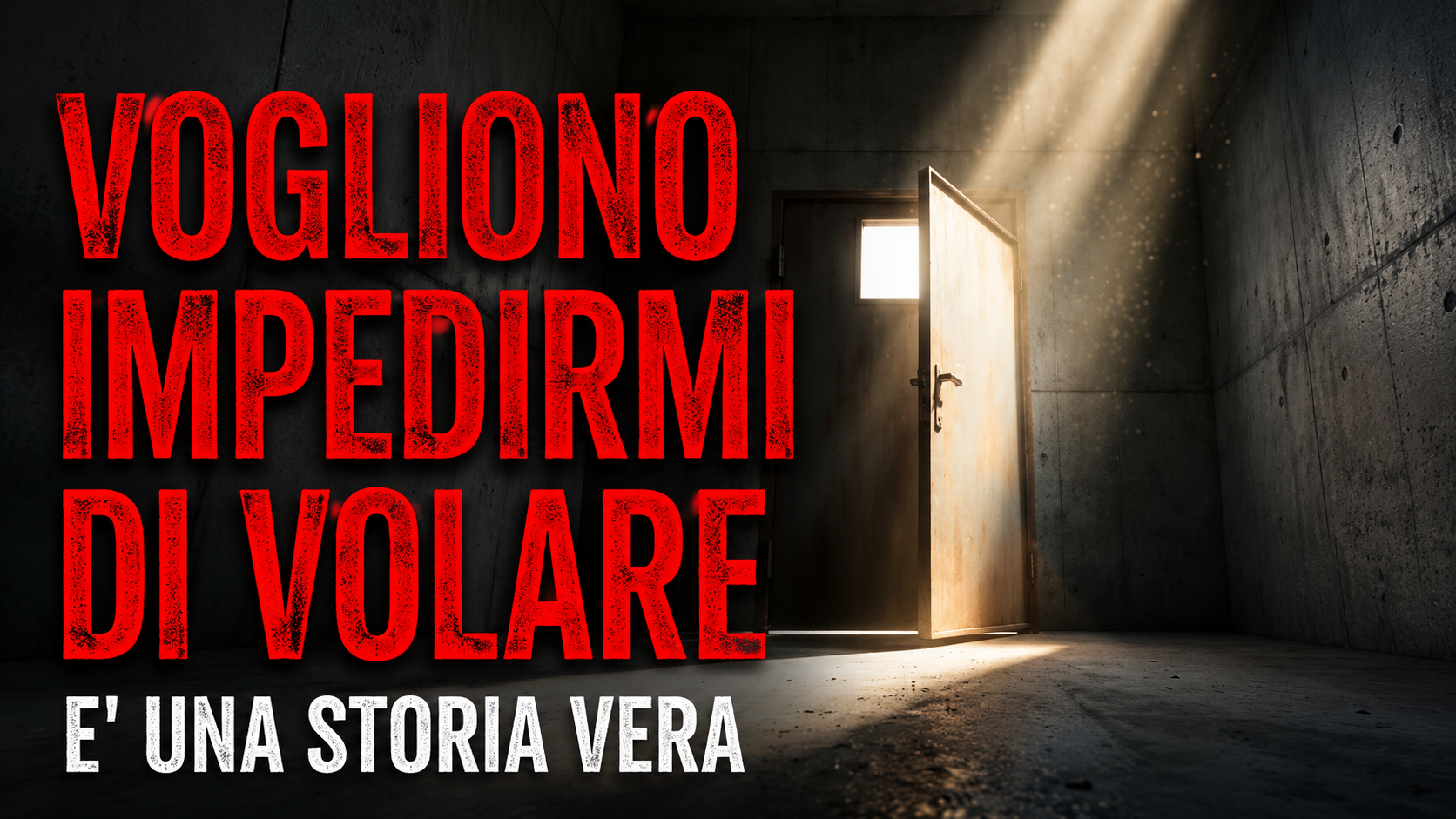 Vogliono impedirmi di volare - Copertina